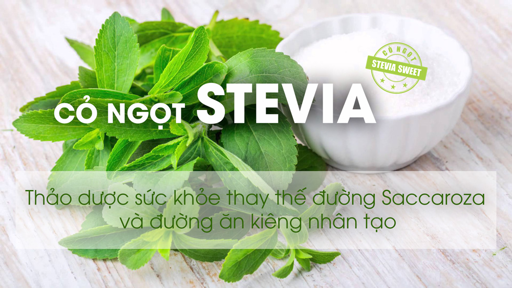 Trà Khổ qua rừng MUDARU có thành phần Cỏ ngọt Stevia